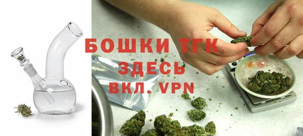mdpv Тайга