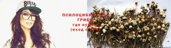 каннабис Сясьстрой