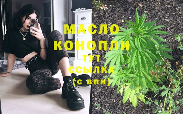 индика Тихвин