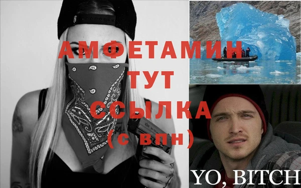 индика Тихвин