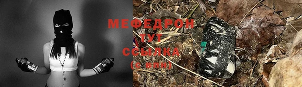 индика Тихвин